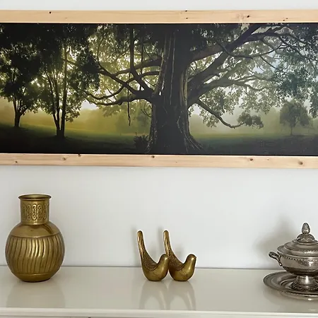 Urban 41 * Ponta Delgada